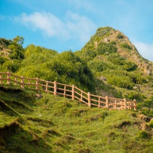 偷拍美女毛茸茸尿尿视频
