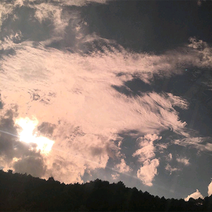 偷拍美女毛茸茸尿尿视频
